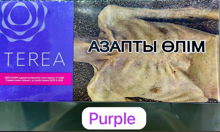 Terea Purple Menthol