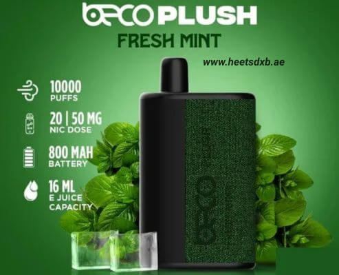 BECO PLUSH 10000 Puffs Disposable Vape Fresh Mint