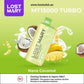 LOST MARY MT15000 TURBO 5% Disposable Vape Nana Coconut