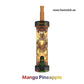 MFU SHISHA X1 40000 Puffs Hookah Disposable Vape in Dubai Mango Pineapple,
