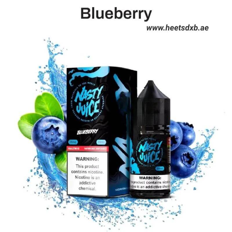 Nasty Smooth Series Salt 30ml in Dubai Blueberry