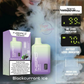 Nerd Fire 8000 Puffs Disposable Vape In Dubai Blackcurrant Ice
