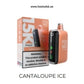 Podsalt 15000 Puffs 2% (20mg) Nicotine Disposable Cantaloupe Ice