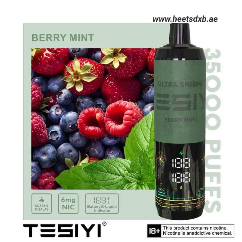 TESIYI Ultra Shisha 35000 Puffs Disposable Vape In Dubai Berry Mint
