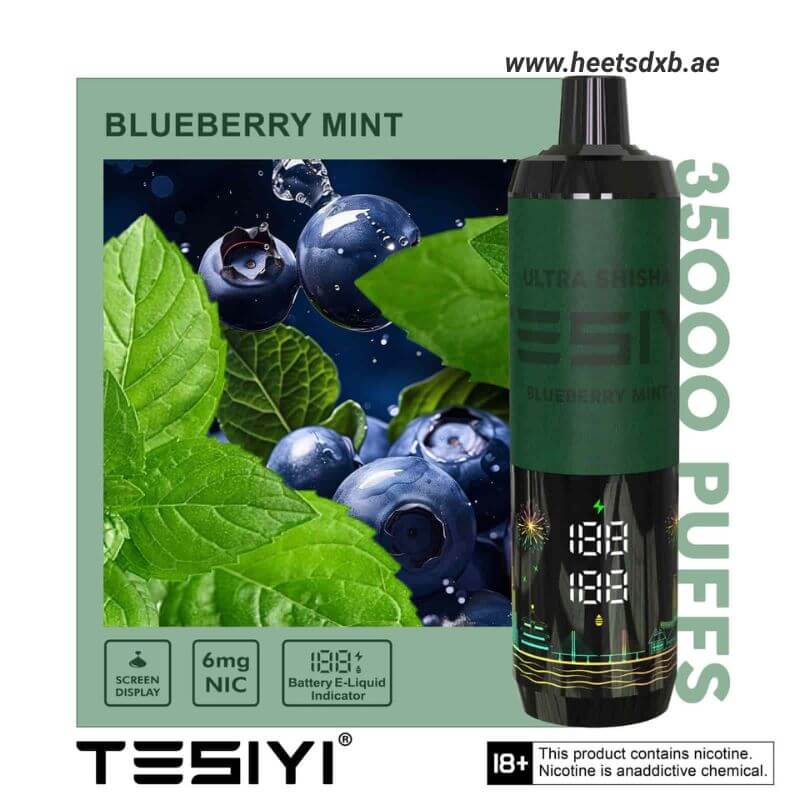 TESIYI Ultra Shisha 35000 Puffs Disposable Vape In Dubai Blueberry Mint