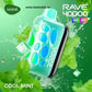 VOZOL RAVE 40000 Puffs Disposable Vape In Dubai Cool Mint
