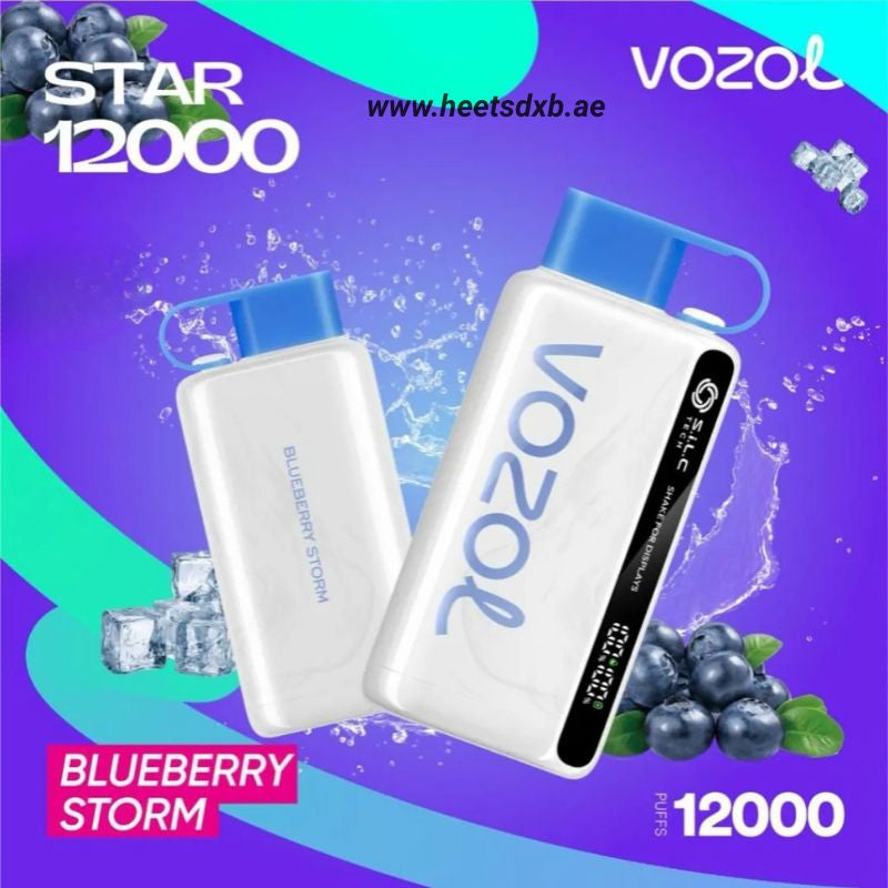 VOZOL STAR 12000 Puffs Disposable Vape in Dubai Blueberry Storm
