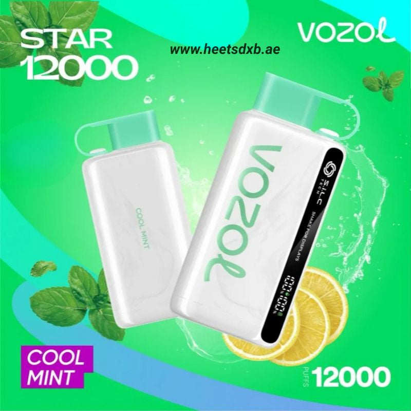 VOZOL STAR 12000 Puffs Disposable Vape in Dubai Cool Mint
