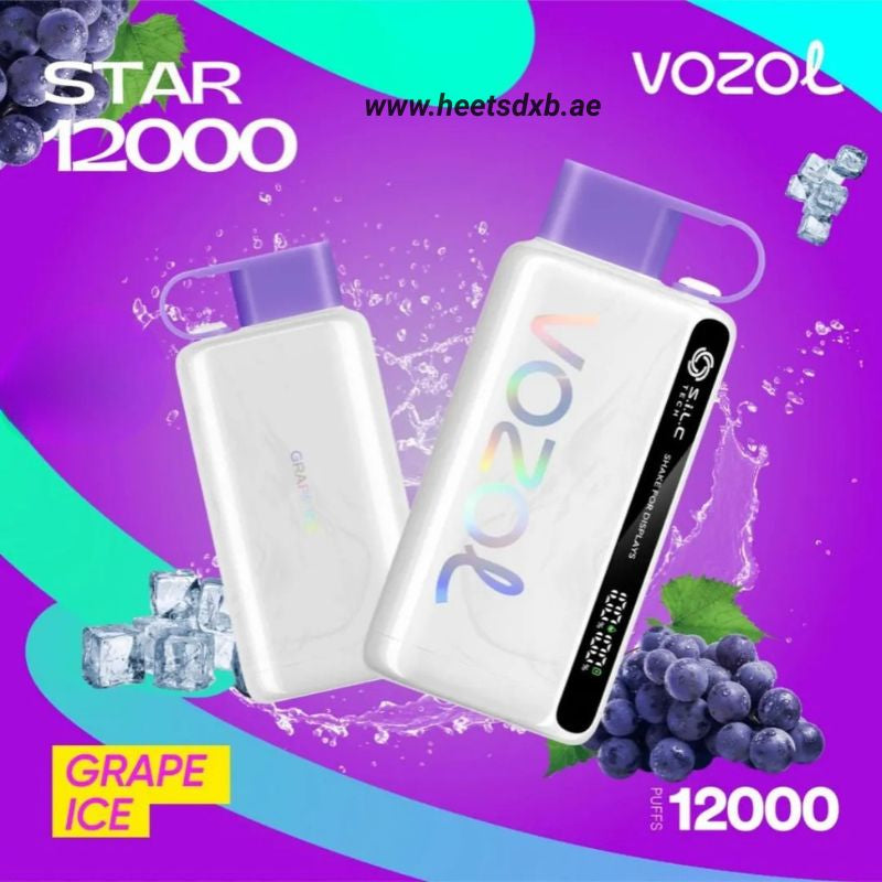VOZOL STAR 12000 Puffs Disposable Vape in Dubai Grape Ice
