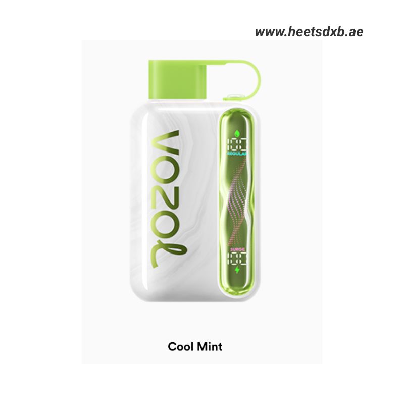 Vozol Star 40000 Puffs Disposable Vape In Dubai Cool Mint
