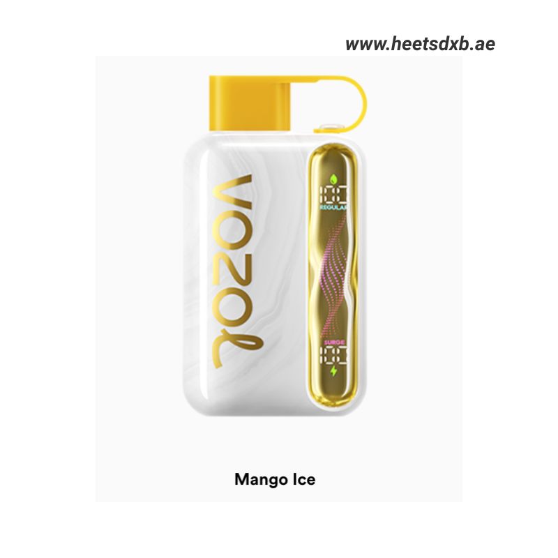 Vozol Star 40000 Puffs Disposable Vape In Dubai Melon Ice
