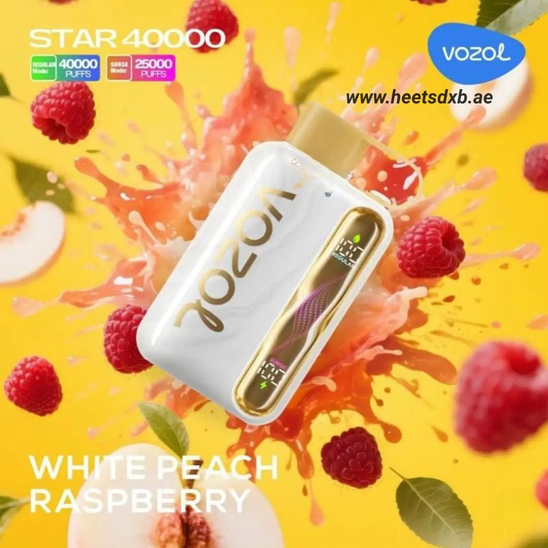 Vozol Star 40000 Puffs Disposable Vape In Dubai
