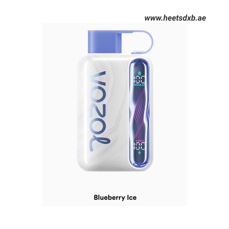 Vozol Star 40000 Puffs Disposable Vape In Dubai