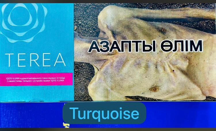 Terea Turquoise Menthol